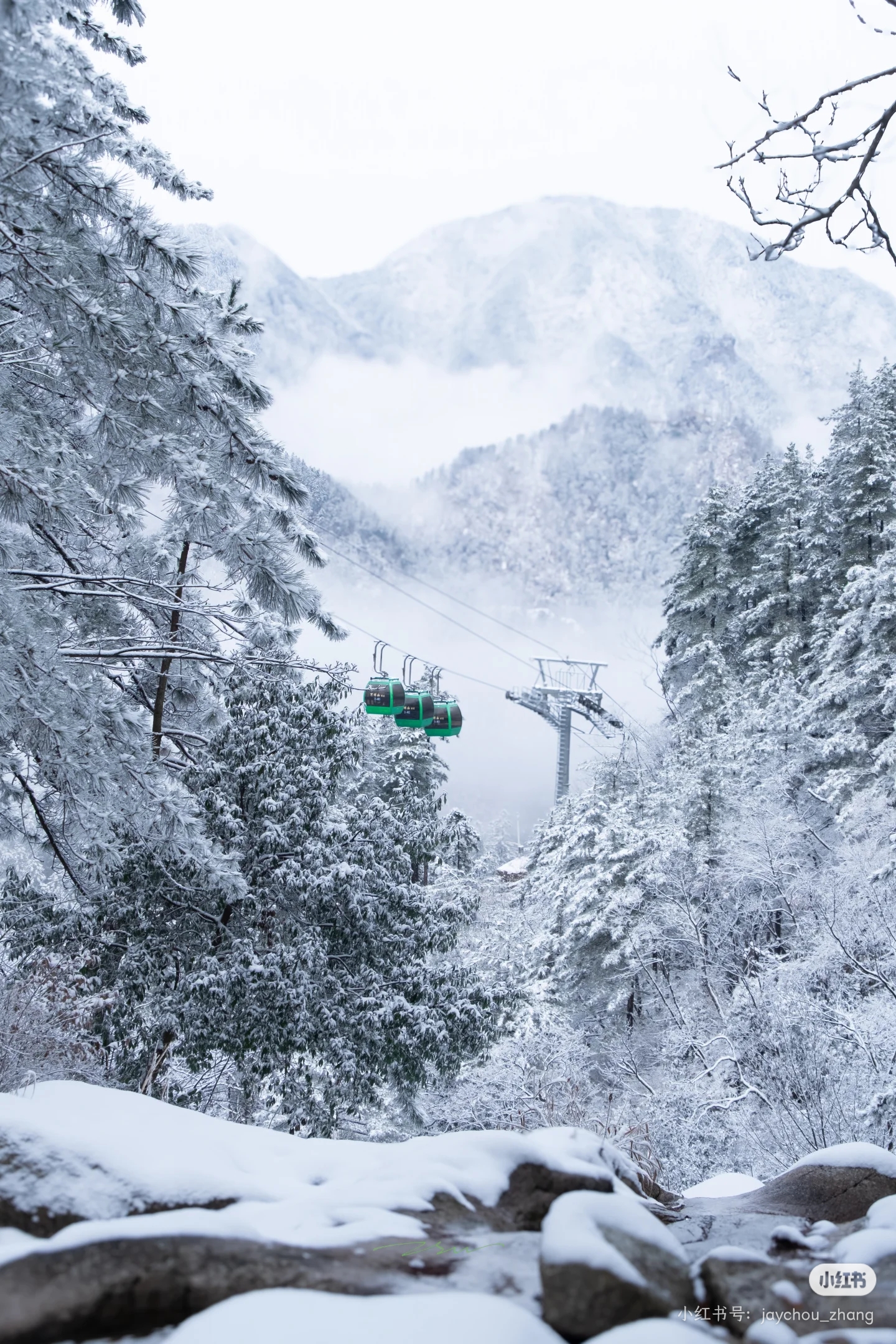 万佛山雪景中的索道与松林
